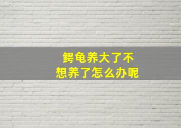 鳄龟养大了不想养了怎么办呢