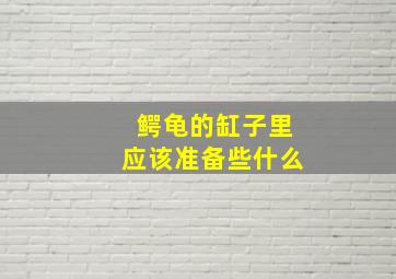 鳄龟的缸子里应该准备些什么