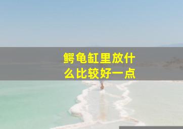 鳄龟缸里放什么比较好一点