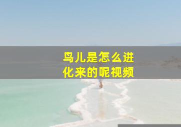 鸟儿是怎么进化来的呢视频