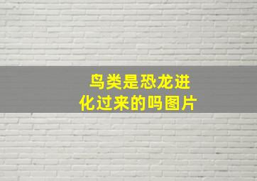 鸟类是恐龙进化过来的吗图片