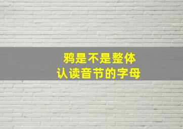 鸦是不是整体认读音节的字母