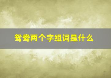 鸳鸯两个字组词是什么