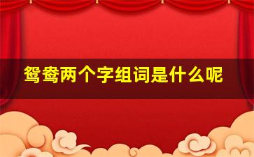 鸳鸯两个字组词是什么呢