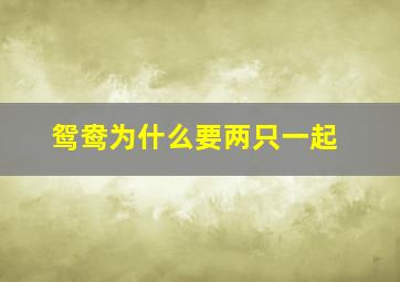 鸳鸯为什么要两只一起