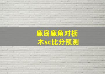 鹿岛鹿角对枥木sc比分预测