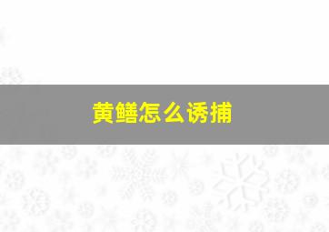 黄鳝怎么诱捕