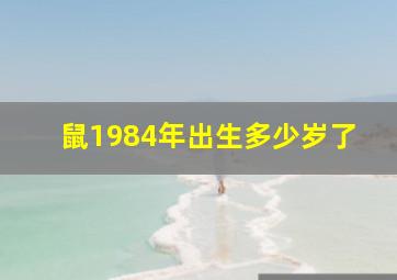 鼠1984年出生多少岁了