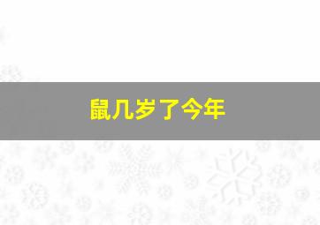 鼠几岁了今年