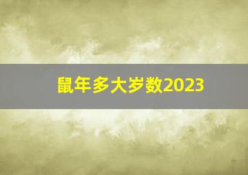 鼠年多大岁数2023