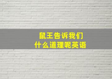 鼠王告诉我们什么道理呢英语