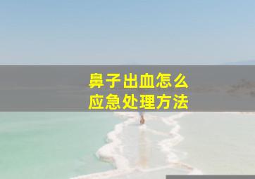 鼻子出血怎么应急处理方法