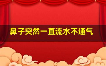 鼻子突然一直流水不通气