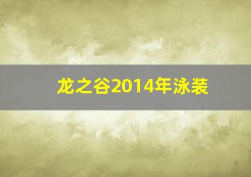 龙之谷2014年泳装