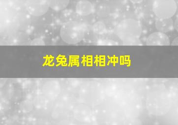 龙兔属相相冲吗