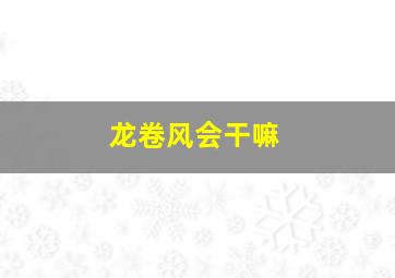 龙卷风会干嘛